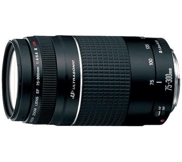 Canon Objectif EF 75-300 III F4-5,6 USM Prix : 270€