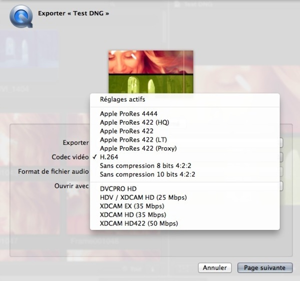 Les options d'exportation sous FCPX.