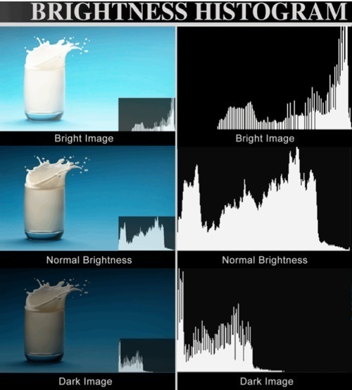 Moniteur de contrôle vidéo Lilliput HDMI 7