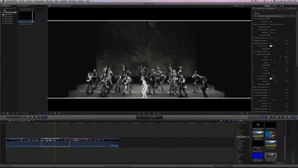 motionVFX : mDusts 100 éléments organiques en full HD