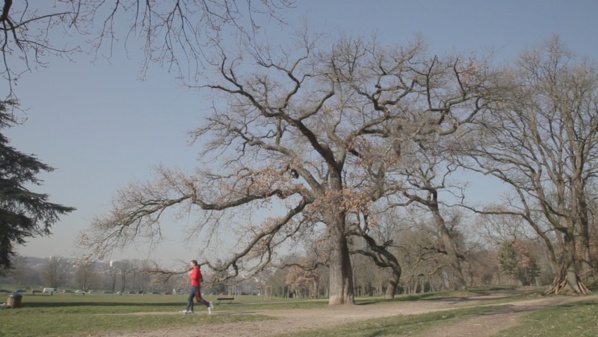 Image tournée avec un preset DSLR Neutre.