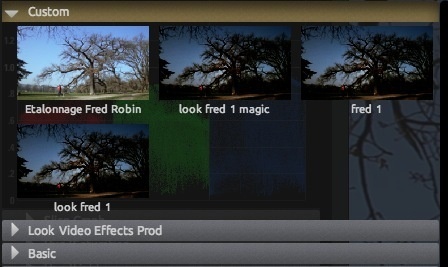 Magic Bullet Look : enregistrer ses propres Presets (Part 2)