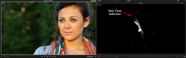 Skin Tone Indicator dans DaVinci Resolve Lite 10.