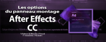 After Effects : les options de la fenêtre montage