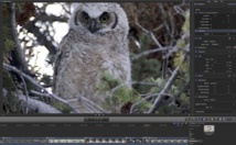 Photon Pro : plugin réducteur de bruit pour FCPX