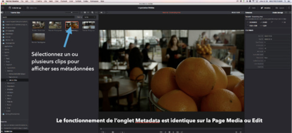 DaVinci Resolve 18 : onglet métadonnées de la page Média