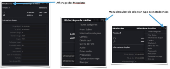 DaVinci Resolve 18 : onglet métadonnées de la page Média