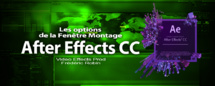 After Effects : Les options de la fenêtre Montage