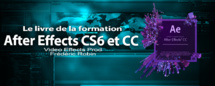 After Effects : Le livre de la formation pour les débutants