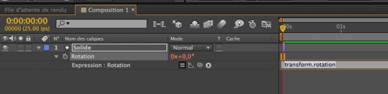 After Effects : les expressions Lasso et Wiggle 