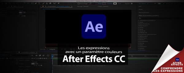 After Effects : options pour expressions "Le paramètre couleurs"