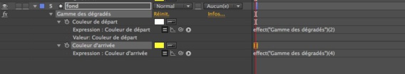 After Effects : options pour expressions 