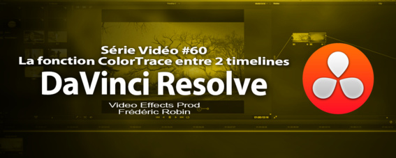 Formation vidéo DaVinci Resolve 12 : la référence en étalonnage