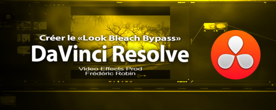 Formation vidéo DaVinci Resolve 12 : la référence en étalonnage