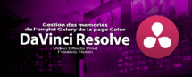 DaVinci Resolve 12 : Gestion des memories de l'onglet Galery (#video66)