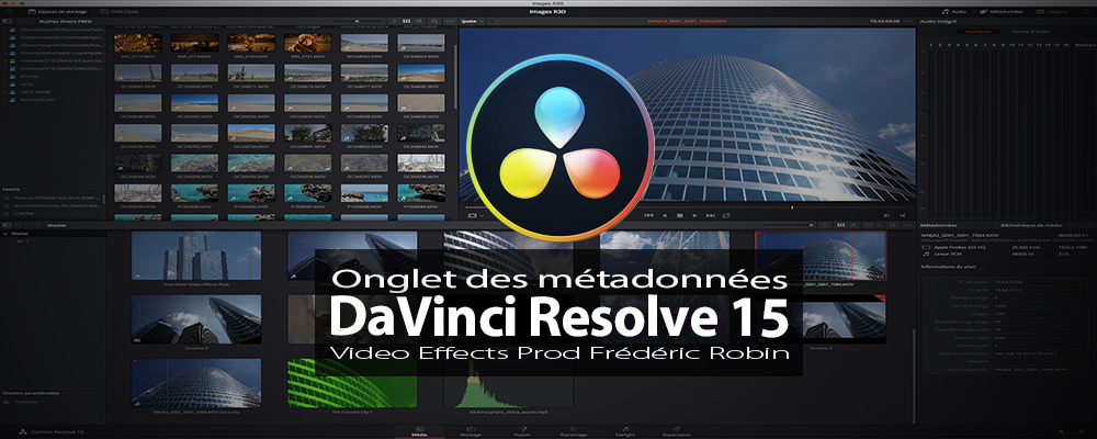 DaVinci Resolve 15 : Onglet métadonnées de la page média