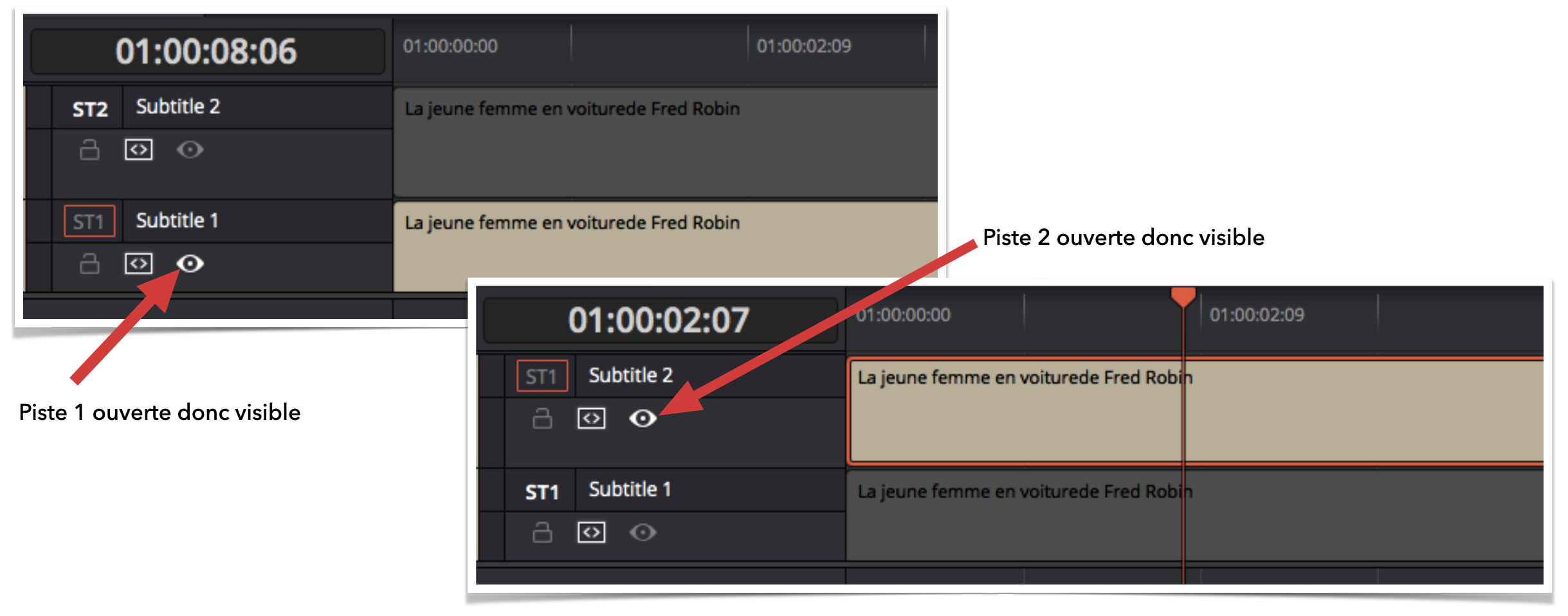 DaVinci Resolve : la gestion des sous-titres