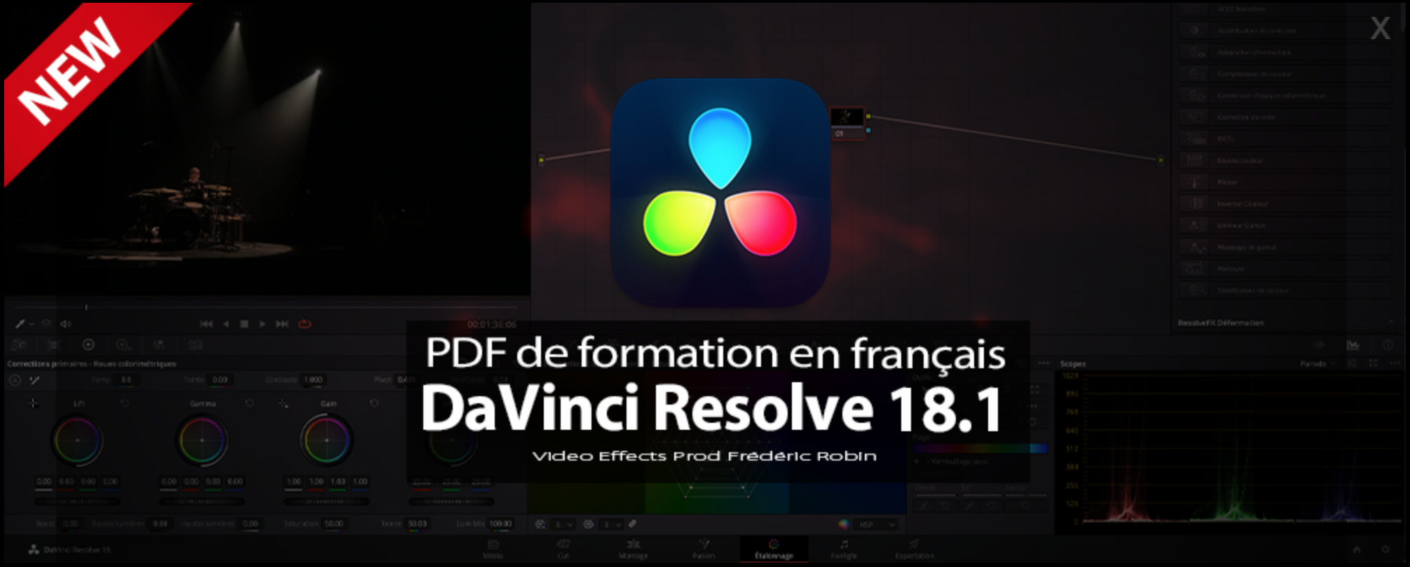 PDF de formation à DaVinci Resolve en vente sur le site