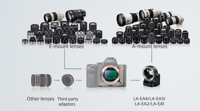 Compatibilité des objectifs avec l'Alpha 7II.