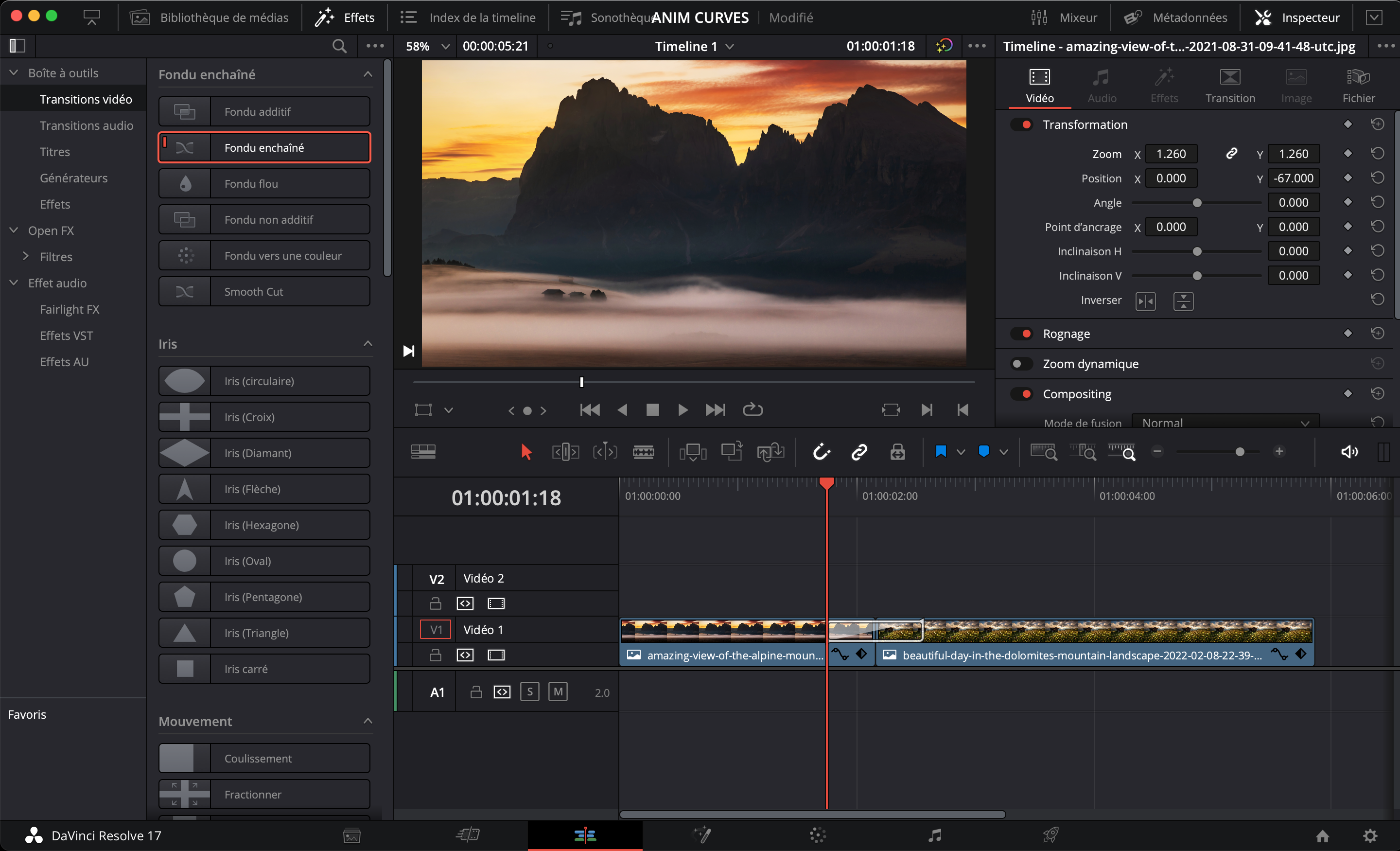Page montage DaVinci Resolve