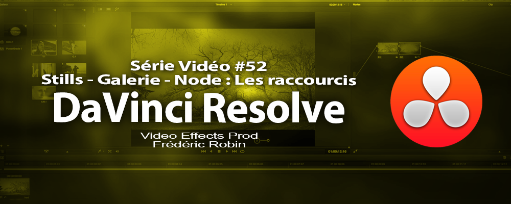 DaVinci Resolve 11 : Les raccourcis de la gestion de l'étalonnage #52