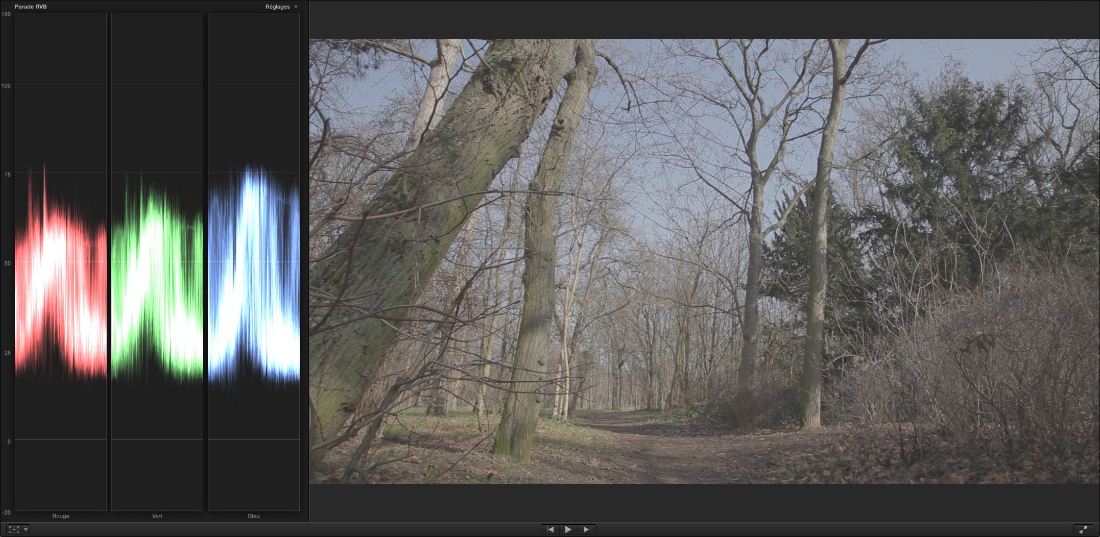 Image obtenue avec le style d'image Cinestyle de Technicolor.
