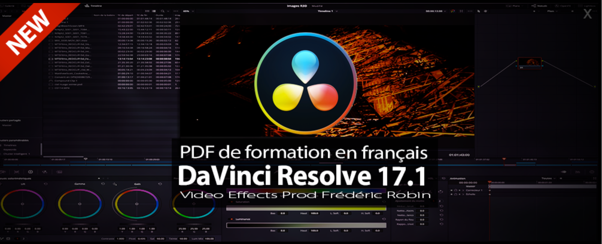 Les livres de formation aux logiciels de Post-Production