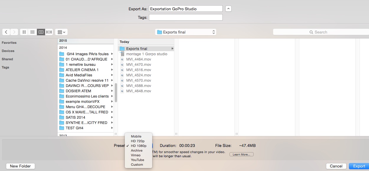 Le fenêtre d'exportation du logiciel GoPro Studio.