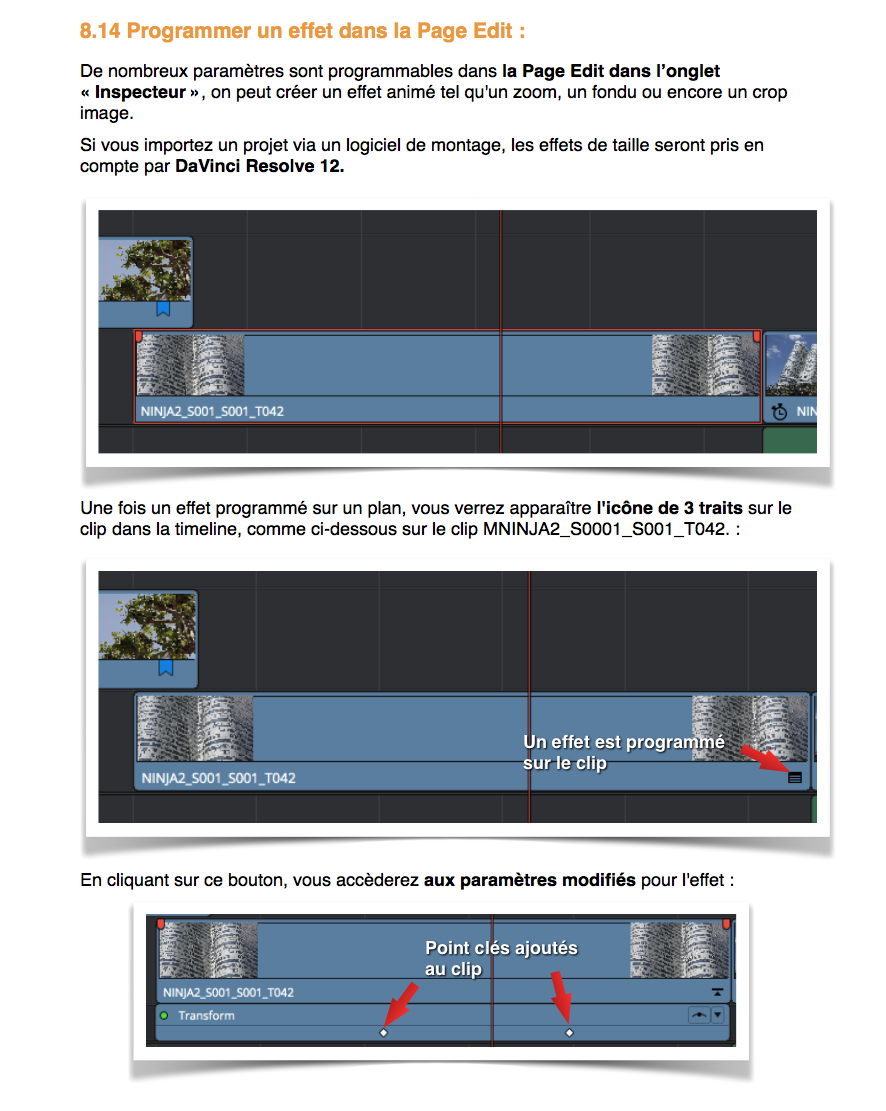 Gestion des effets sous DaVinci Resolve 12.5