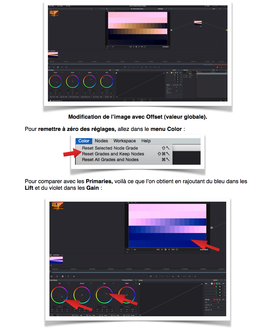 La gestion des Nodes du DaVinci Resolve 12.5