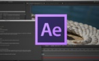 After Effects : Gérer les préférences du logiciel (Part 1) :