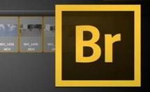 Renommer les médias avec Bridge CS6