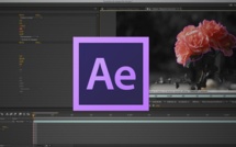 After Effects CC : L'outil Roto-Pinceau