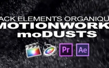 motionworks : moDUST 01 (Pack de poussières)