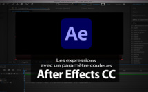 After Effects : options pour expressions "Le paramètre couleurs"