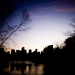 New York Fred-35