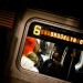 New York Fred-36