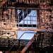 New York Fred-48