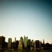 New York Fred-53