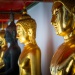 Wat Arun Temple bouddhiste