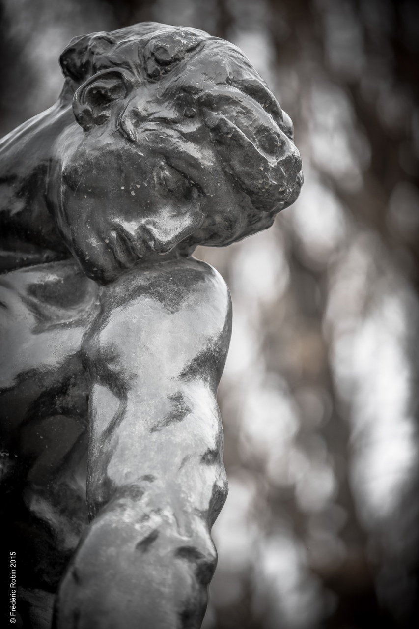 Musée Rodin Statue Paris-13
