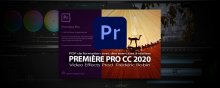 PPCC 2020